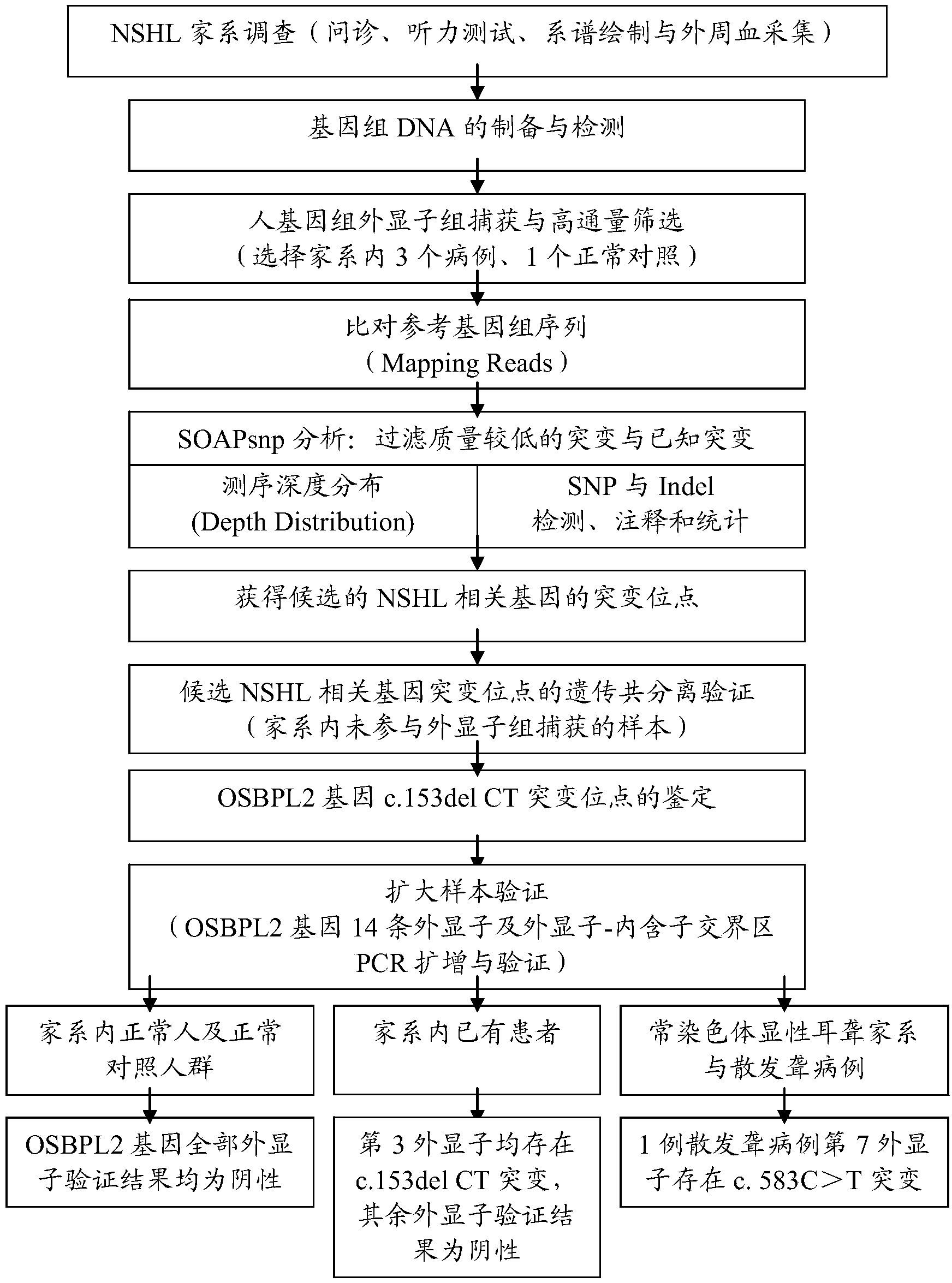 OSBPL2 mutant gene as well as identification method and detection kit thereof