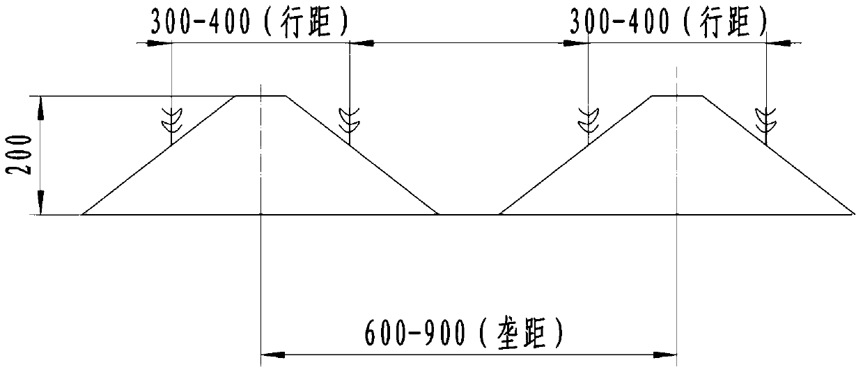 Ridging and film mulching seeding machine