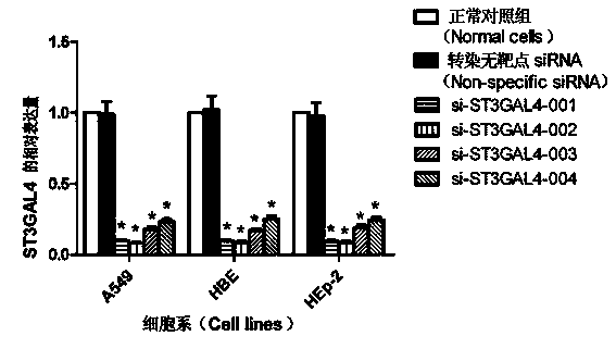 SiRNA (small interfering Ribose Nucleic Acid) capable of preventing and controlling influenza, and pharmaceutical composition and medical application thereof