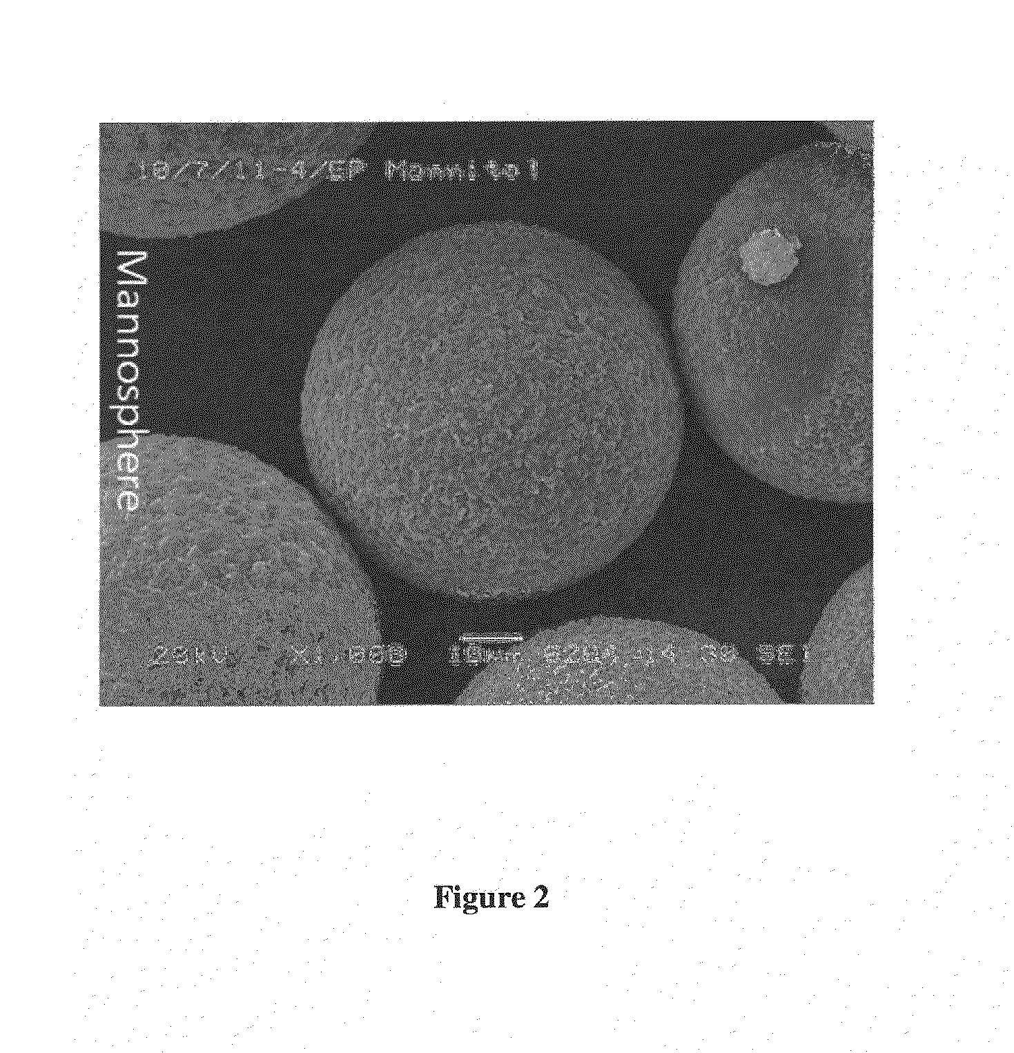 Crystalline microspheres and the process of manufacturing the same