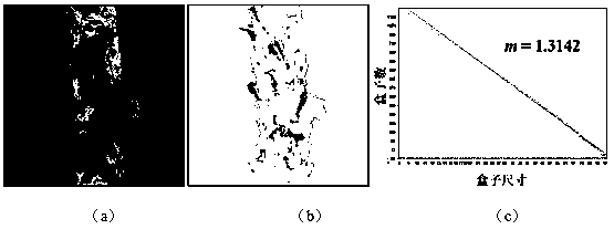 Fractal dimension based quantitative characterization method of cigarette ash column crack distribution characteristics