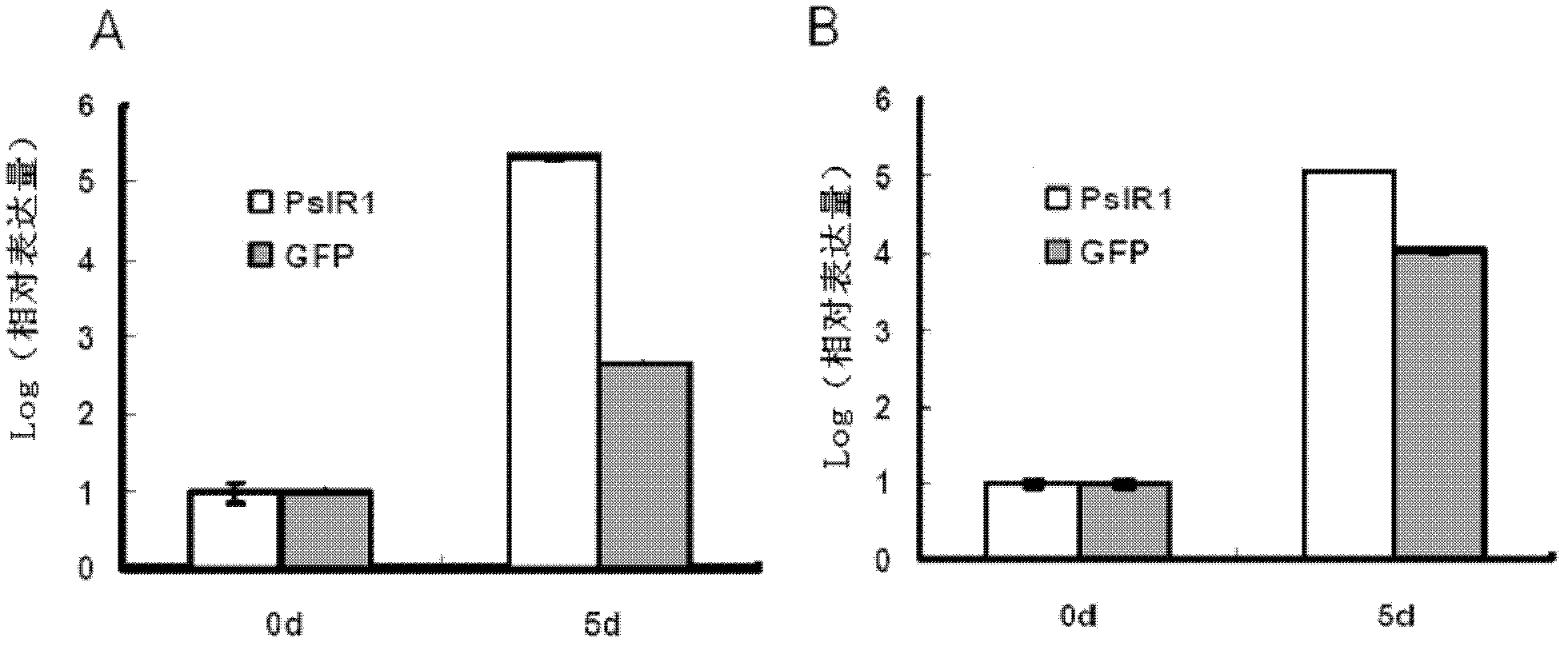 Application of phytophthora sojae gene PsIR1 capable of inducing plant disease resistance