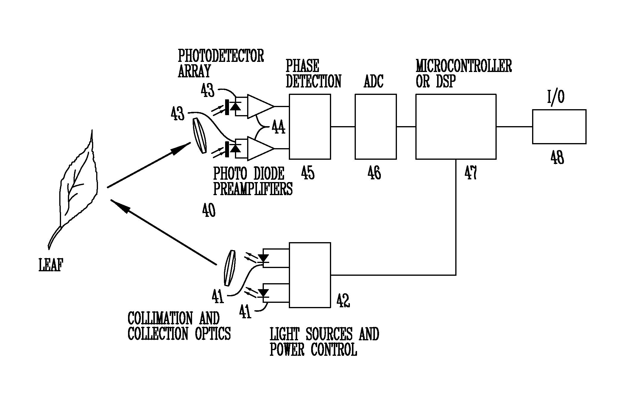 Plant treatment based on a water invariant chlorophyll index