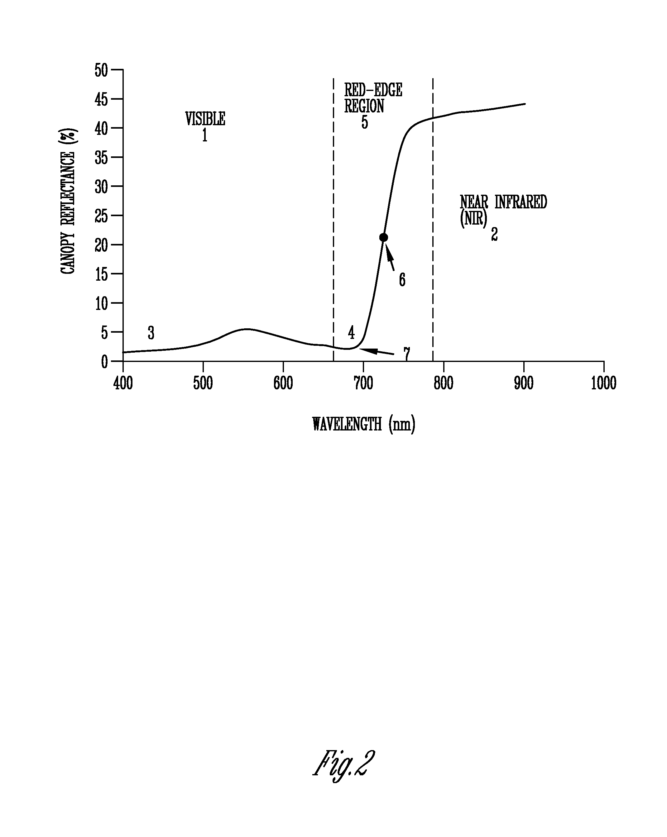 Plant treatment based on a water invariant chlorophyll index