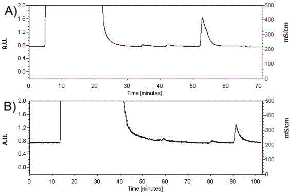 Construction of domestic porcine tumor necrosis factor mutant and protein expression purification method