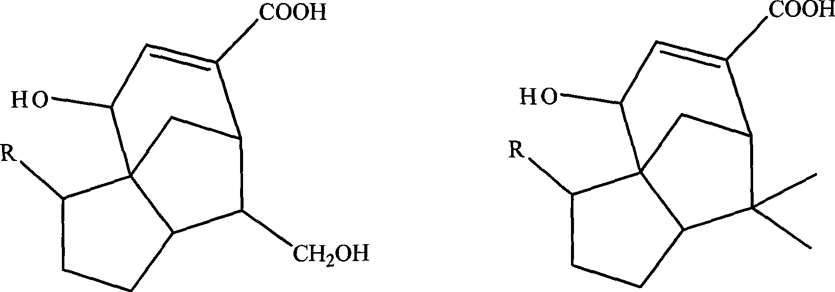 Glass paint based on lac resin, preparation and use thereof