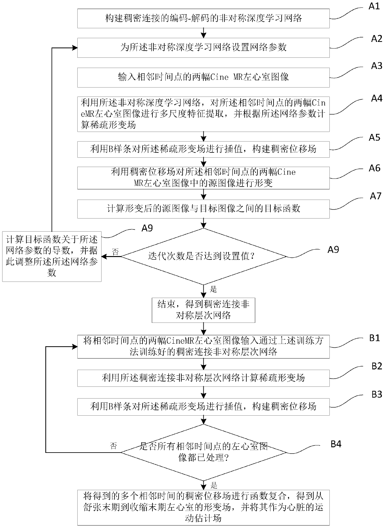 Dense connection asymmetric hierarchical network training method and cardiac motion field estimation method