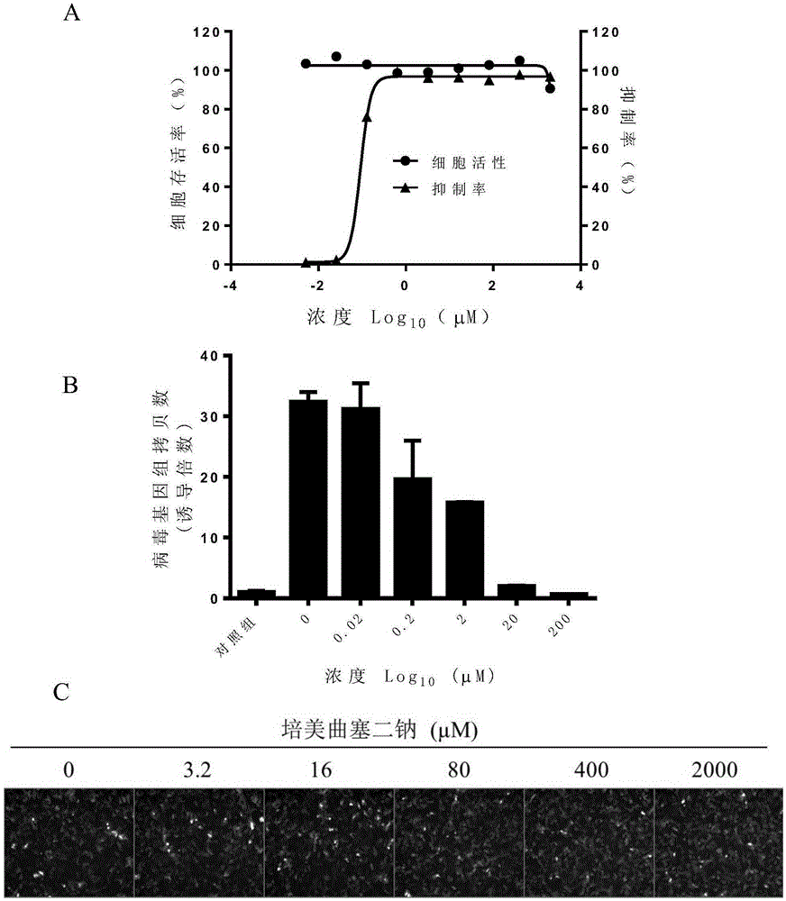 Application of pemetrexed disodium or pharmaceutically-acceptable salt thereof in preparing medicine for treating or preventing herpes virus infection