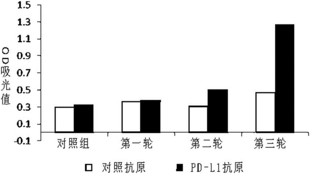 Humanized antibody or antibody fragment for PD-L1 extracellular fragments and application thereof, nucleotide sequence and carrier