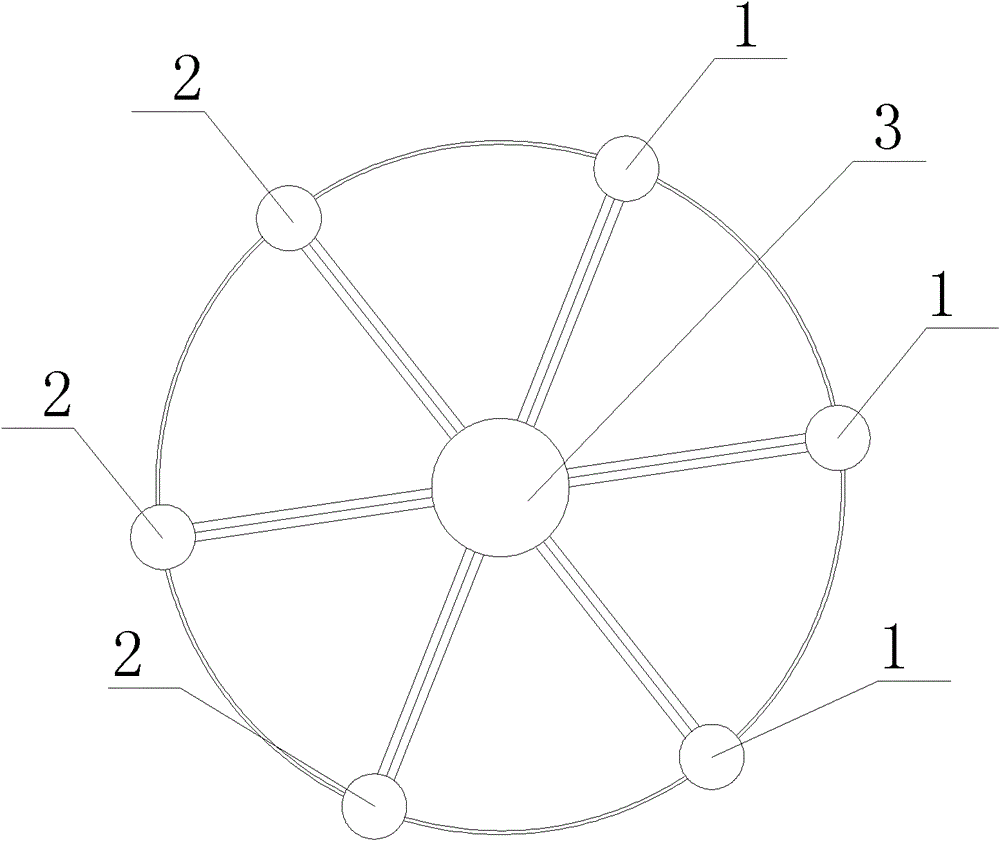 On-chip heterogeneous multi-core system based on star type interconnection structure, and communication method thereof