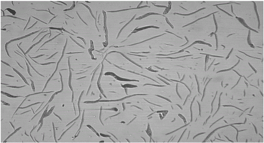 Slag pot in steel mills produced by heatproof cast iron and production method thereof