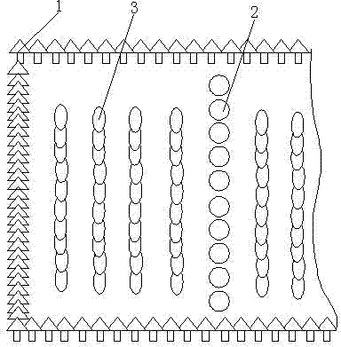 Chill-proof antifreezing intercropping technique for tea gardens