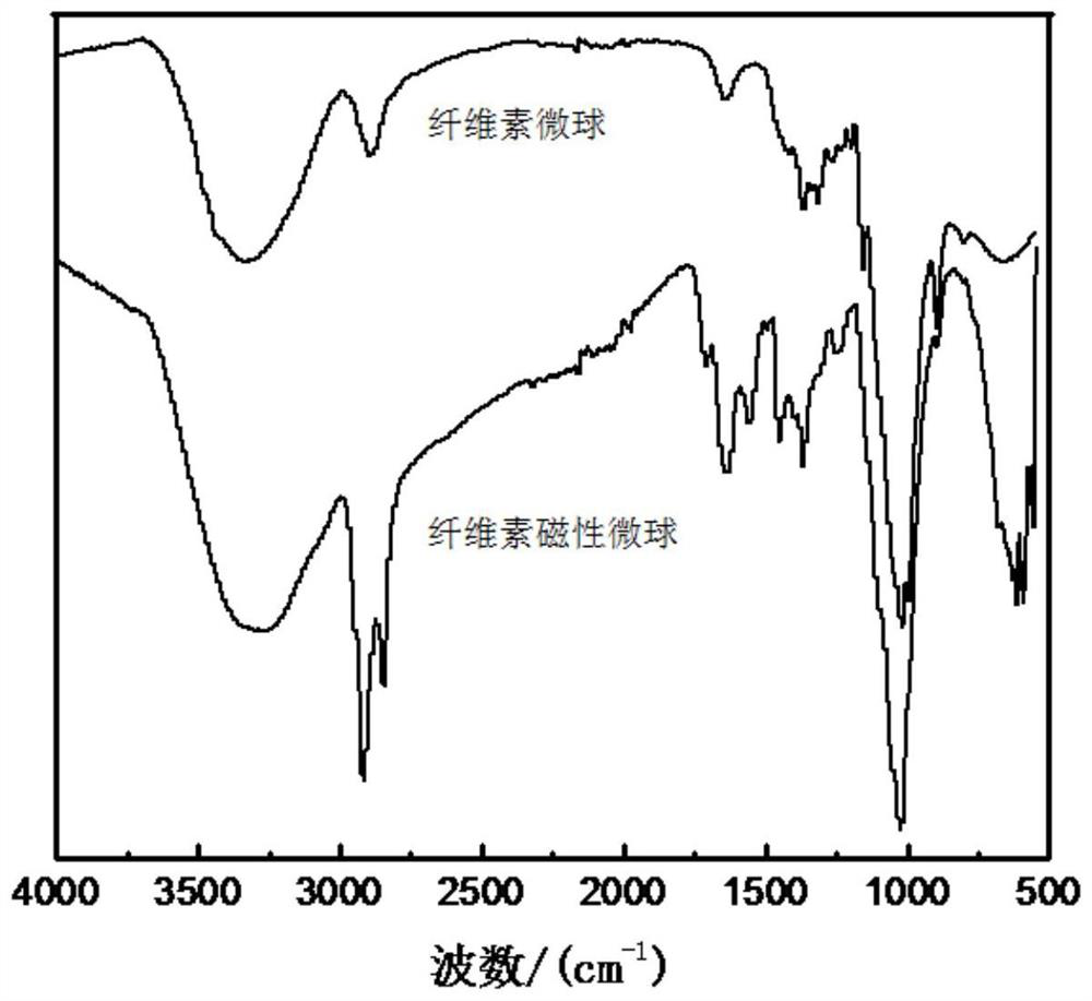 Cellulose magnetic microspheres prepared by improving reaction activity of eucalyptus fibers as well as preparation method and application of cellulose magnetic microspheres