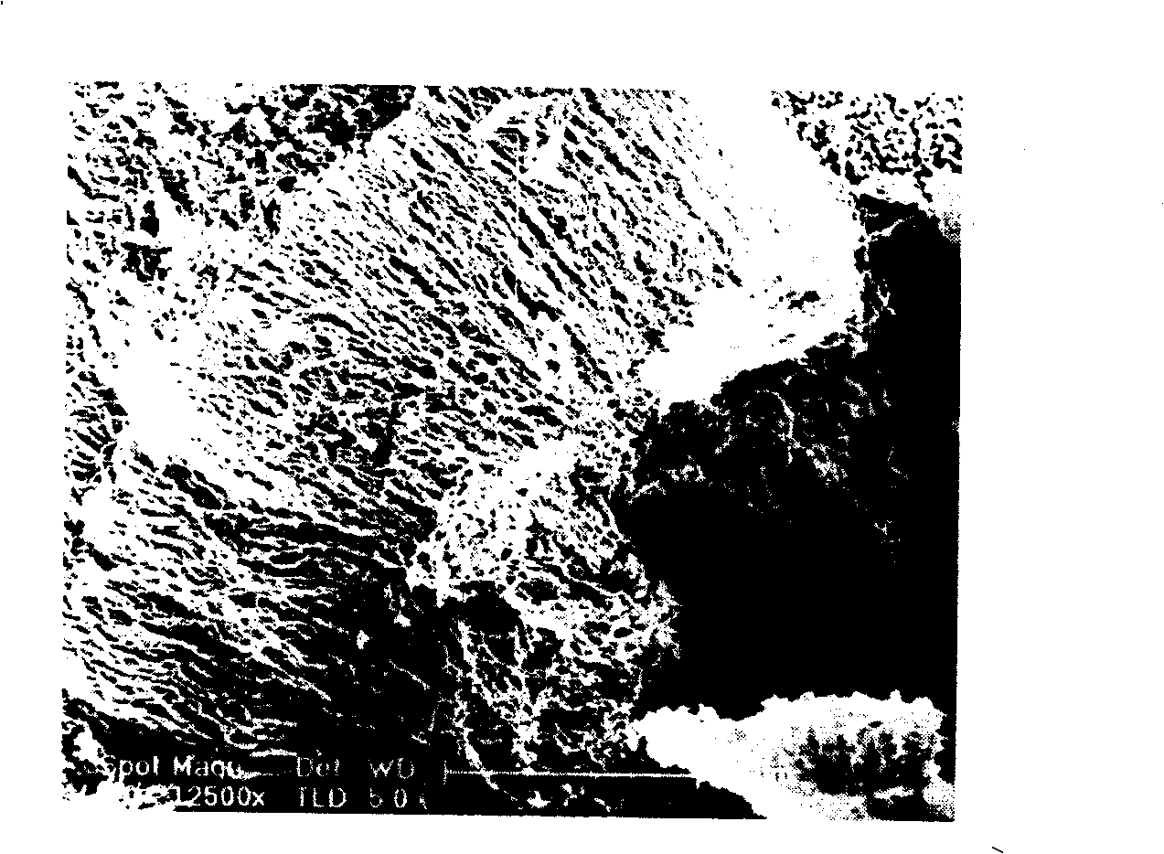 Method for synthesizing ordered array of single crystal Sic Nano filament with small diameter through heat evaporation method