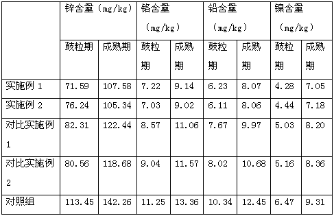 Wheat planting method resistant to soil pollution