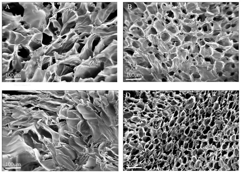 A high-strength shape-memory chitosan-based hydrogel and its preparation method and application