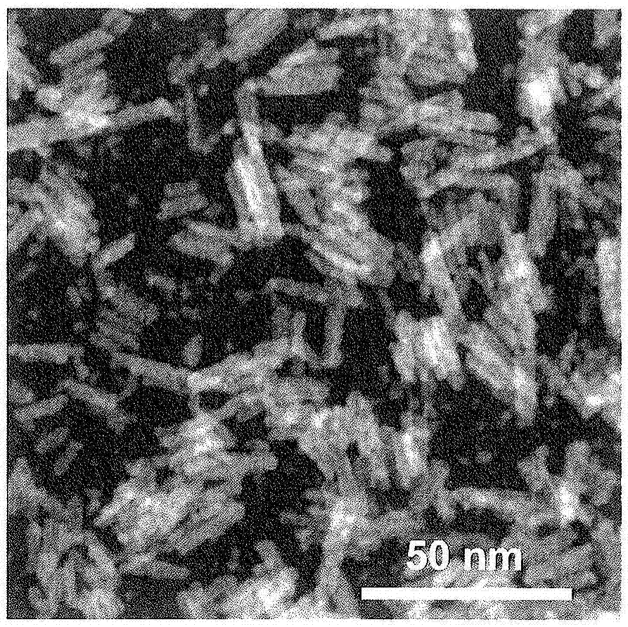 Iron compound particles, method of producing iron compound particles, and oxidation catalyst using iron compound particles