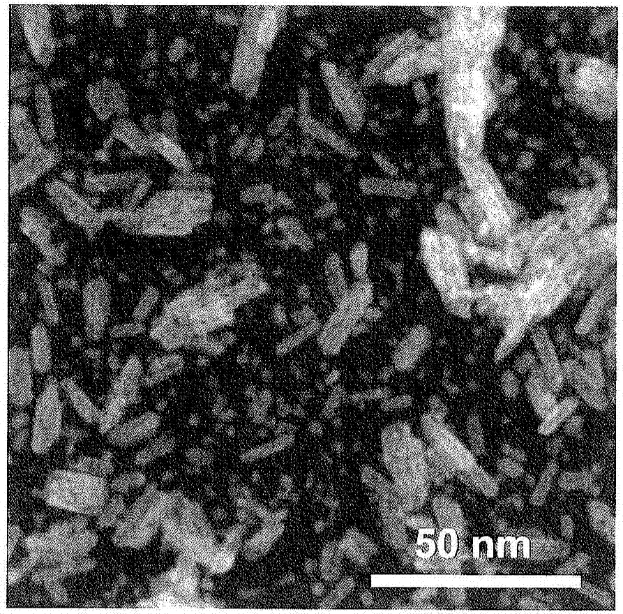 Iron compound particles, method of producing iron compound particles, and oxidation catalyst using iron compound particles