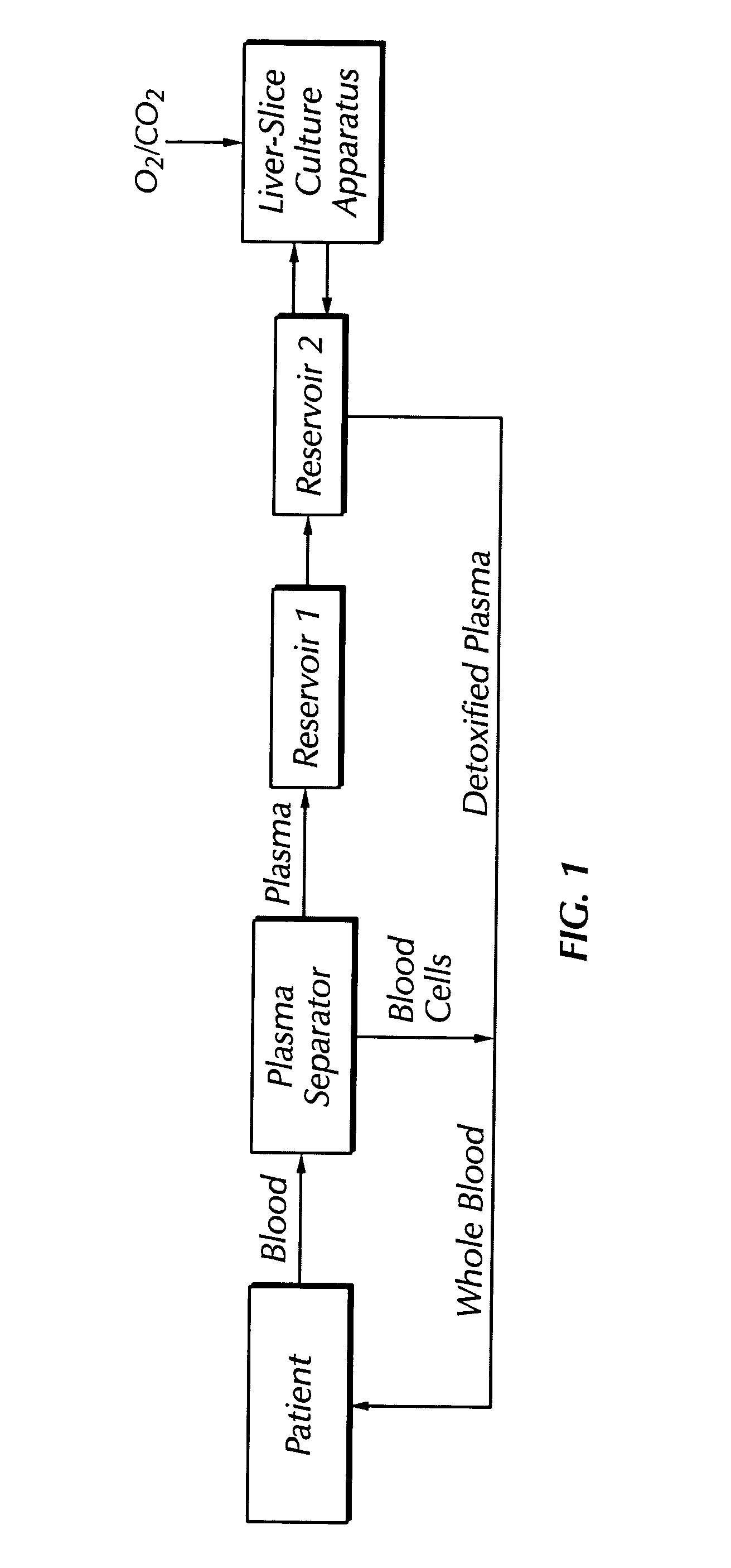 Bio-artificial liver system