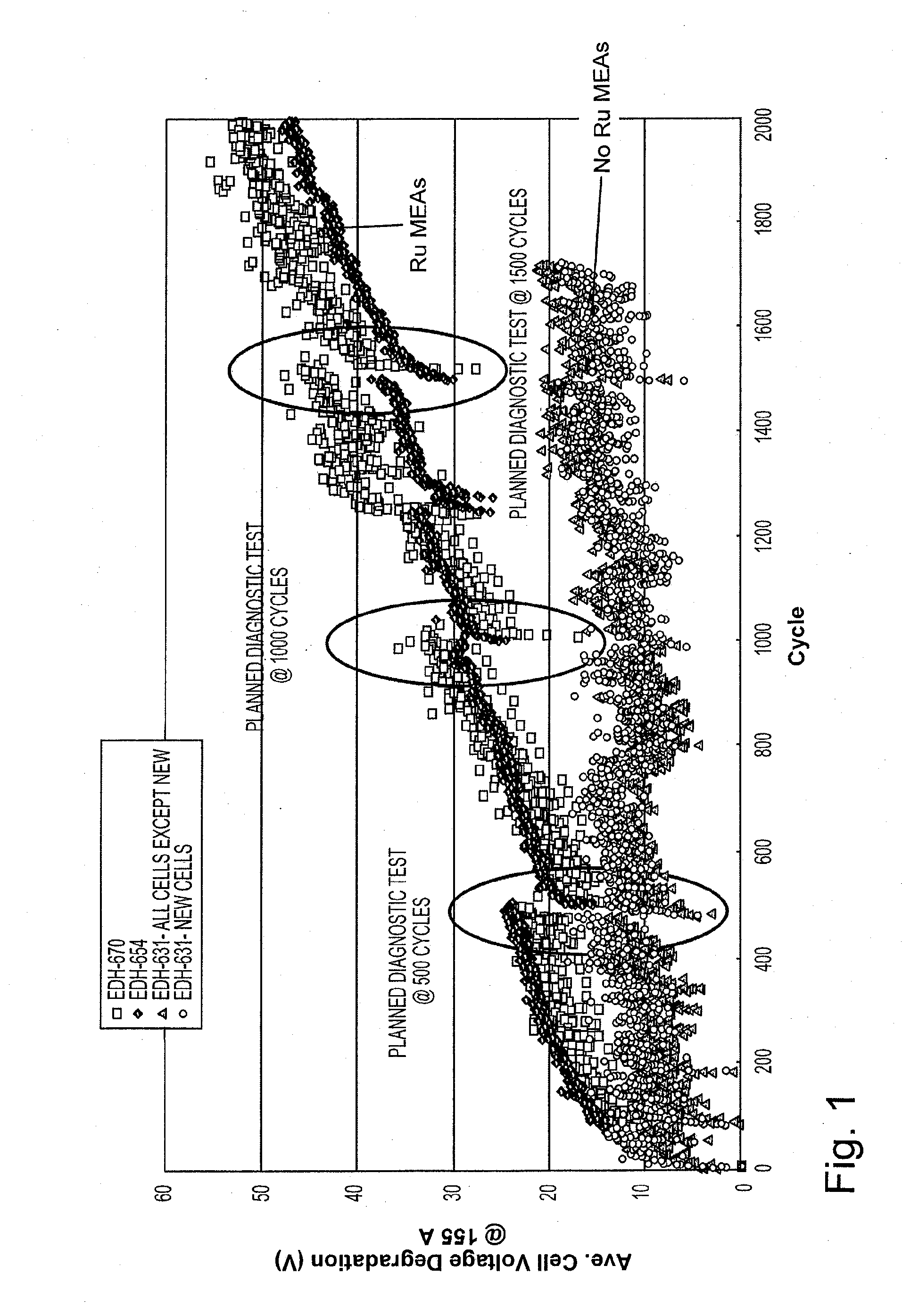 Reversal tolerant membrane electrode assembly for a fuel cell