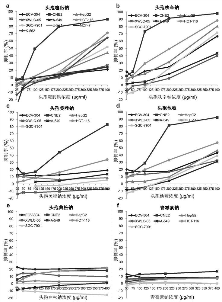 Application of cephalosporin antibiotics as preparation of anticancer drugs and anticancer drugs