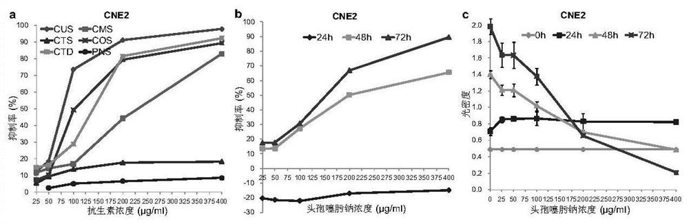 Application of cephalosporin antibiotics as preparation of anticancer drugs and anticancer drugs