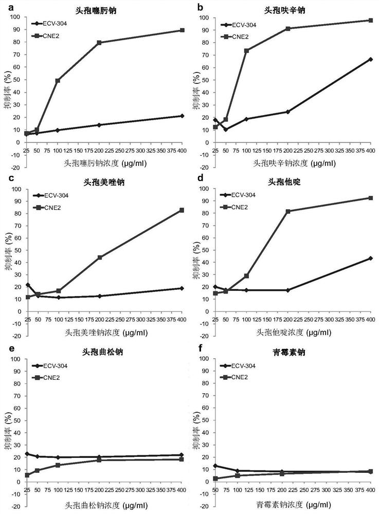 Application of cephalosporin antibiotics as preparation of anticancer drugs and anticancer drugs