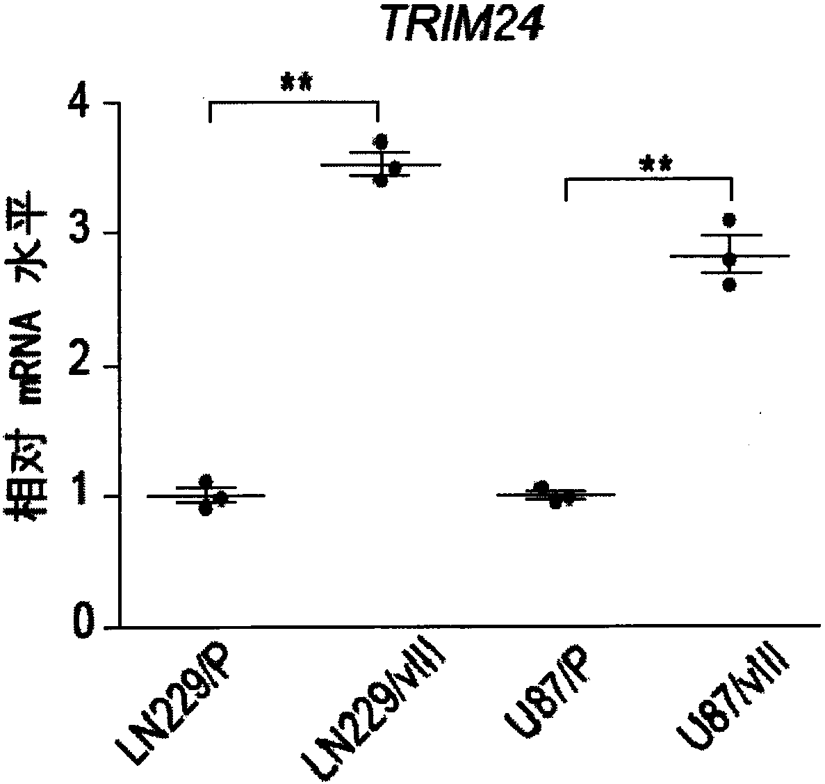 Application of TRIM24 in glioma diagnosis