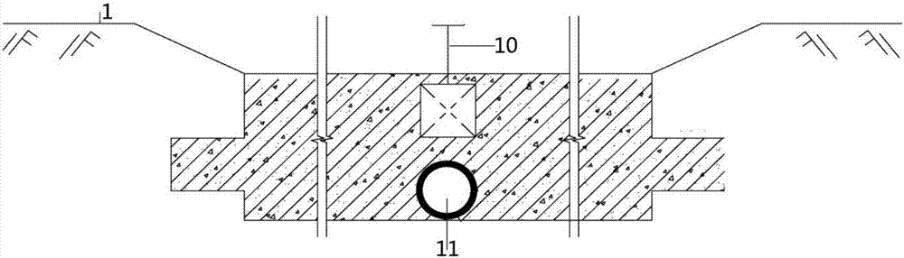 Method of purifying artificial wetland of streamside zone of cadmium-polluted irrigation water