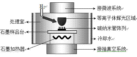 Method for improving field emission performance of carbon nano tube by microwave hydrogen plasma treatment