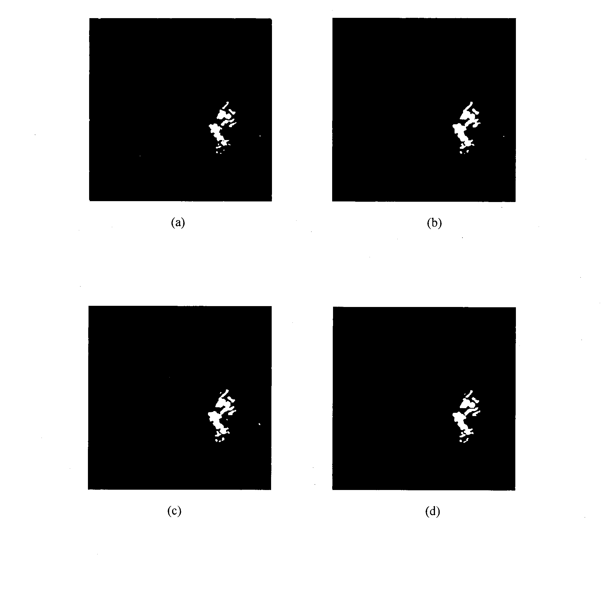 Fuzzy clustering analysis method for detecting synthetic aperture radar (SAR) image changes based on non-local means