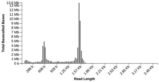 Primer combination and application for nanopore sequencing library construction of a respiratory pathogen