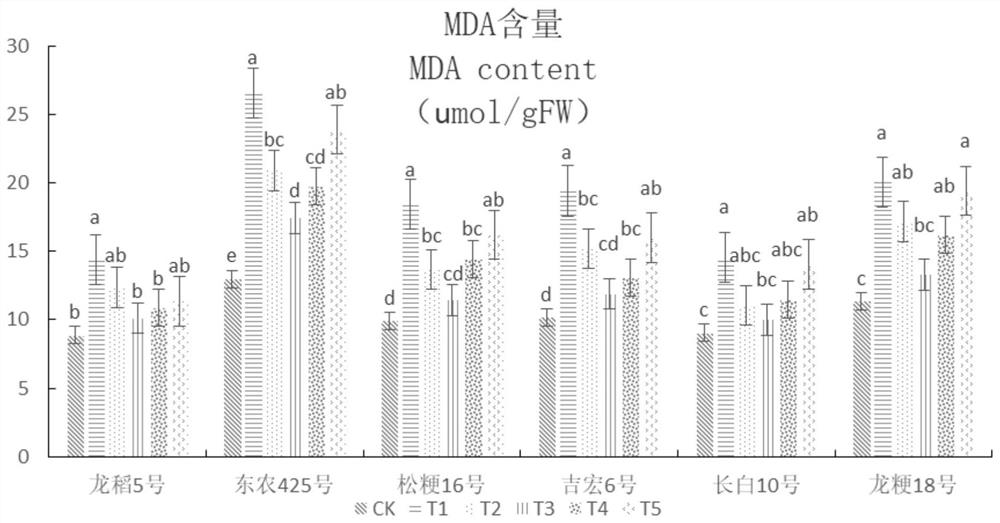 Method for improving alkali resistance of rice