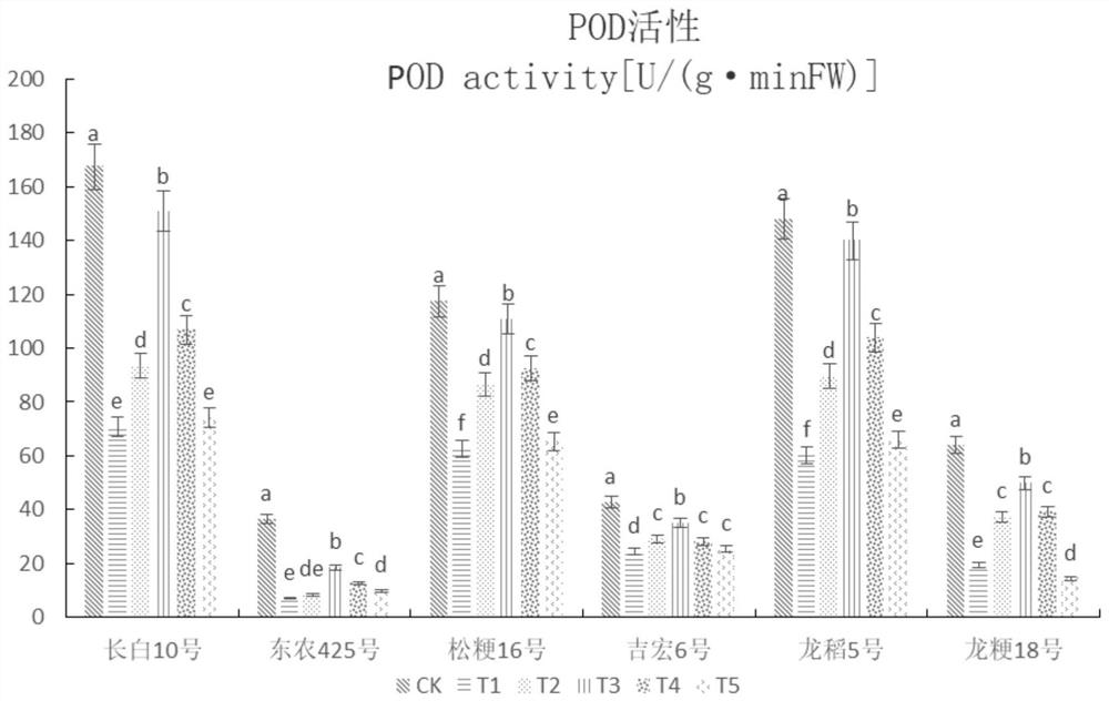 Method for improving alkali resistance of rice