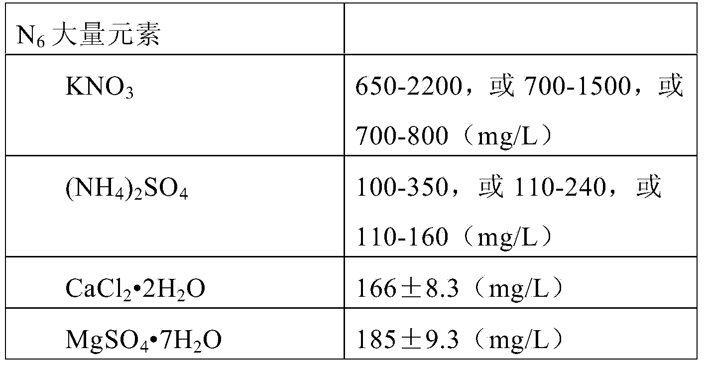 Induction medium for culturing callus of barley microspore