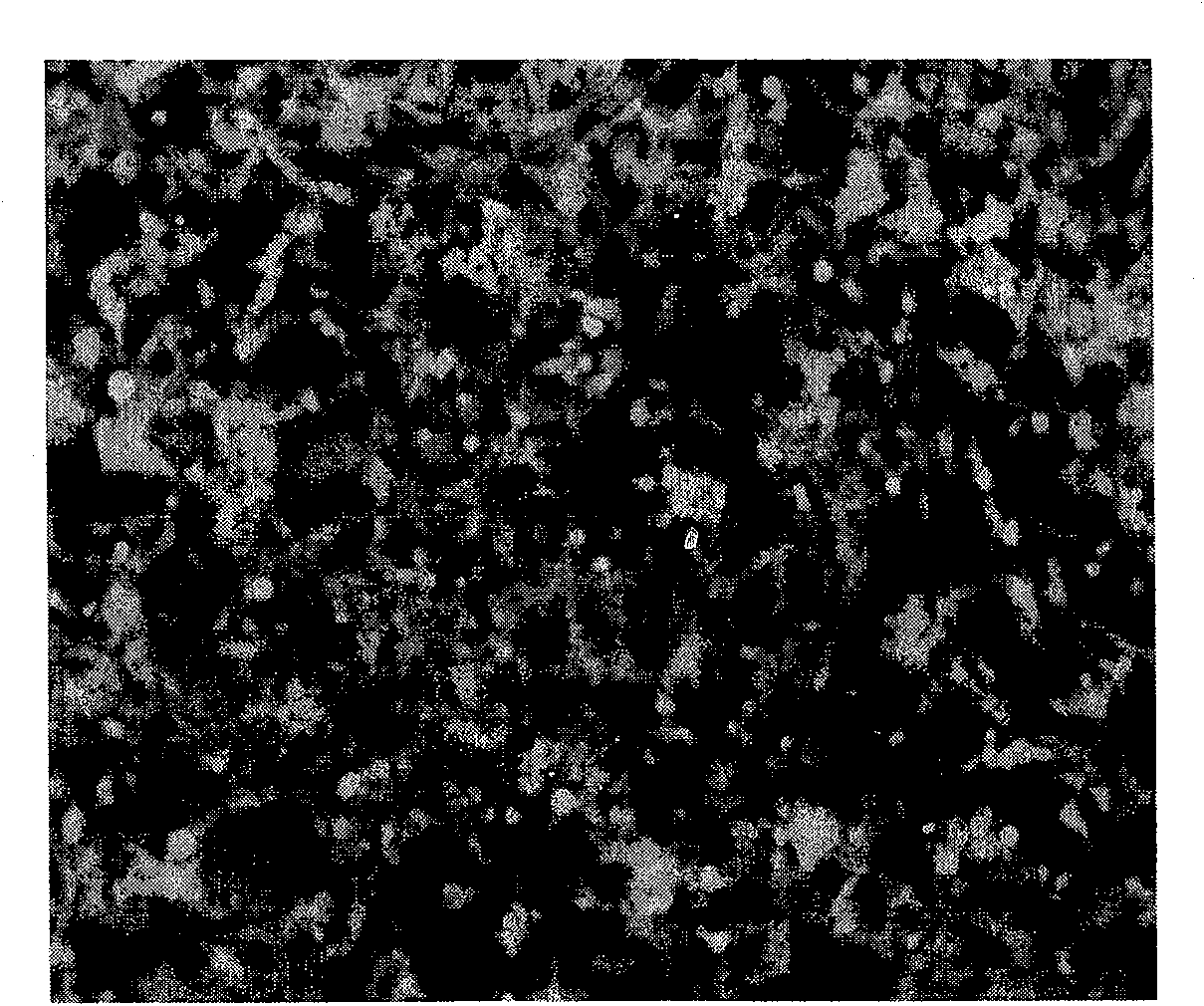 Defected slow virus vector derived from HIV-1 virus