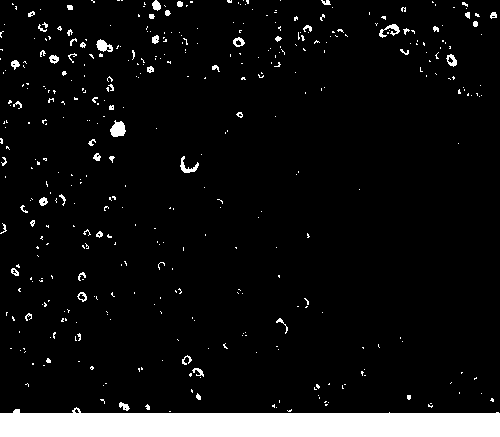 Preparation method of zinc oxide/cuprous oxide heterojunction