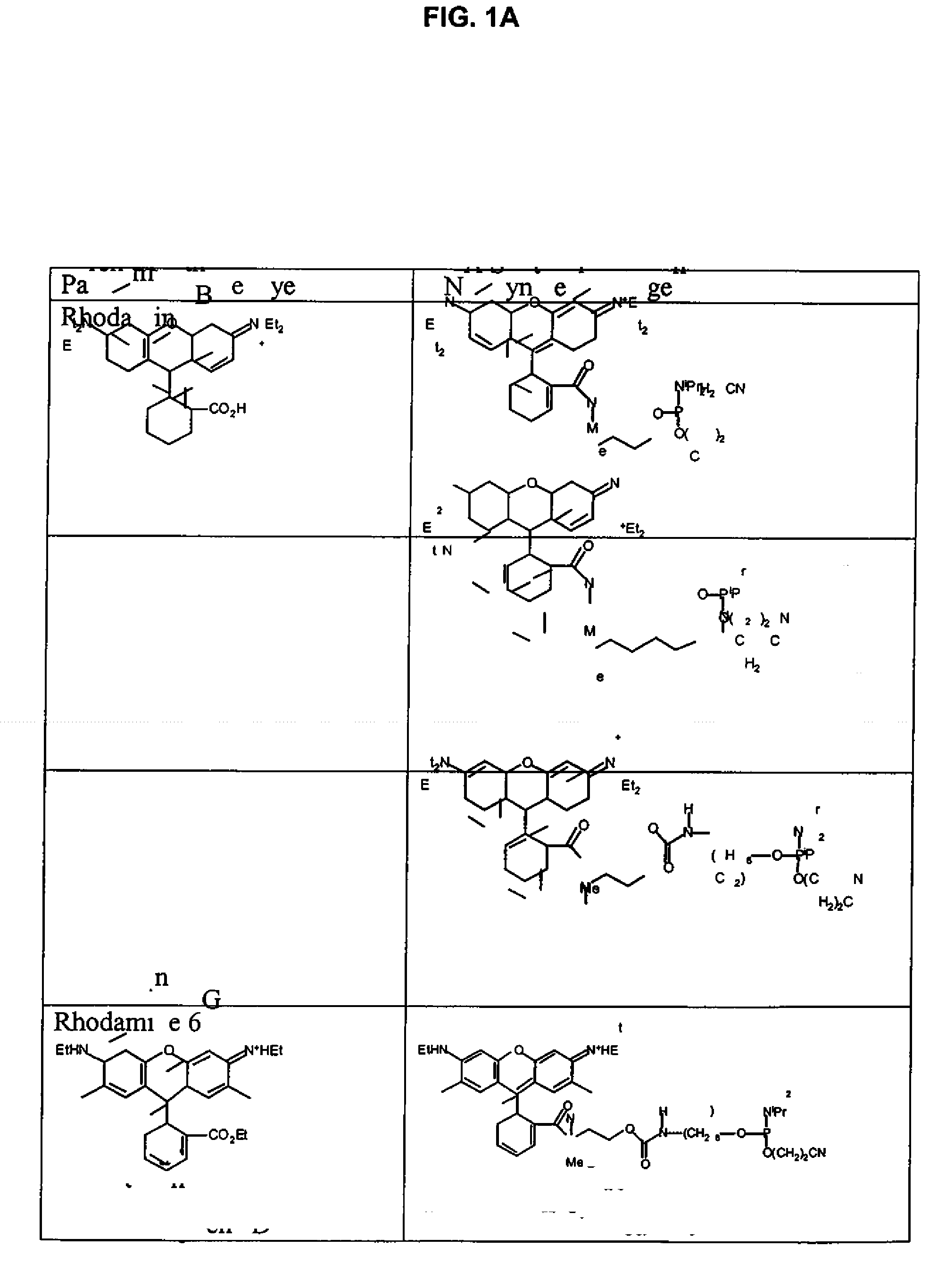 Xanthene dyes