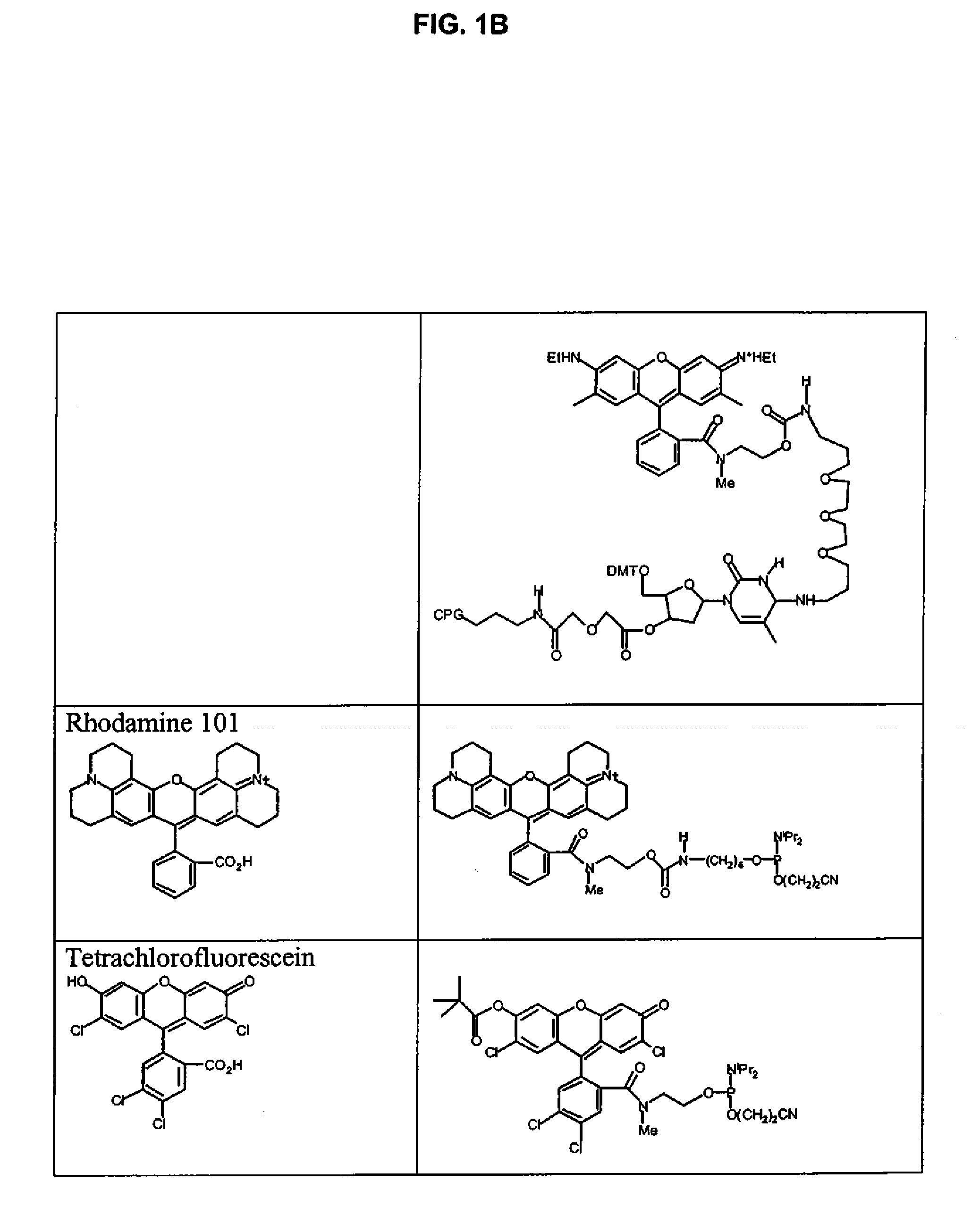 Xanthene dyes