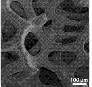 Electrode for electrochemical reduction of CO2 and preparation of formic acid and preparation method and application thereof