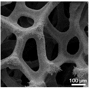 Electrode for electrochemical reduction of CO2 and preparation of formic acid and preparation method and application thereof