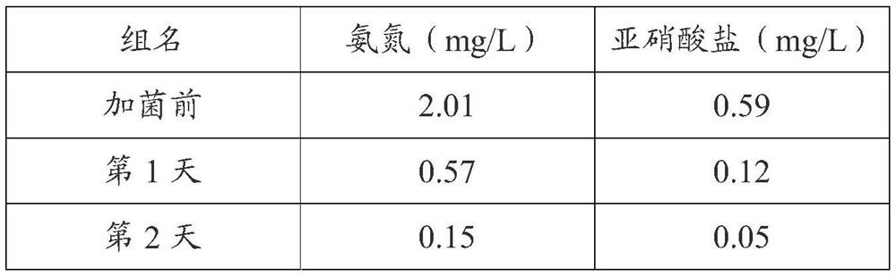 Bacillus amyloliquefaciens y1711, culture method and application thereof