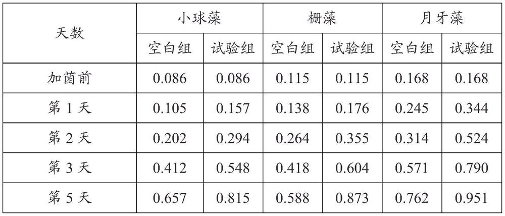 Bacillus amyloliquefaciens y1711, culture method and application thereof