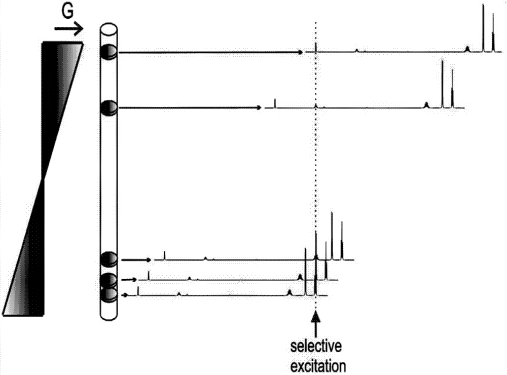 Magnetic resonance imaging decoupling hydrogen spectrum method for identifying true and adulterated honey