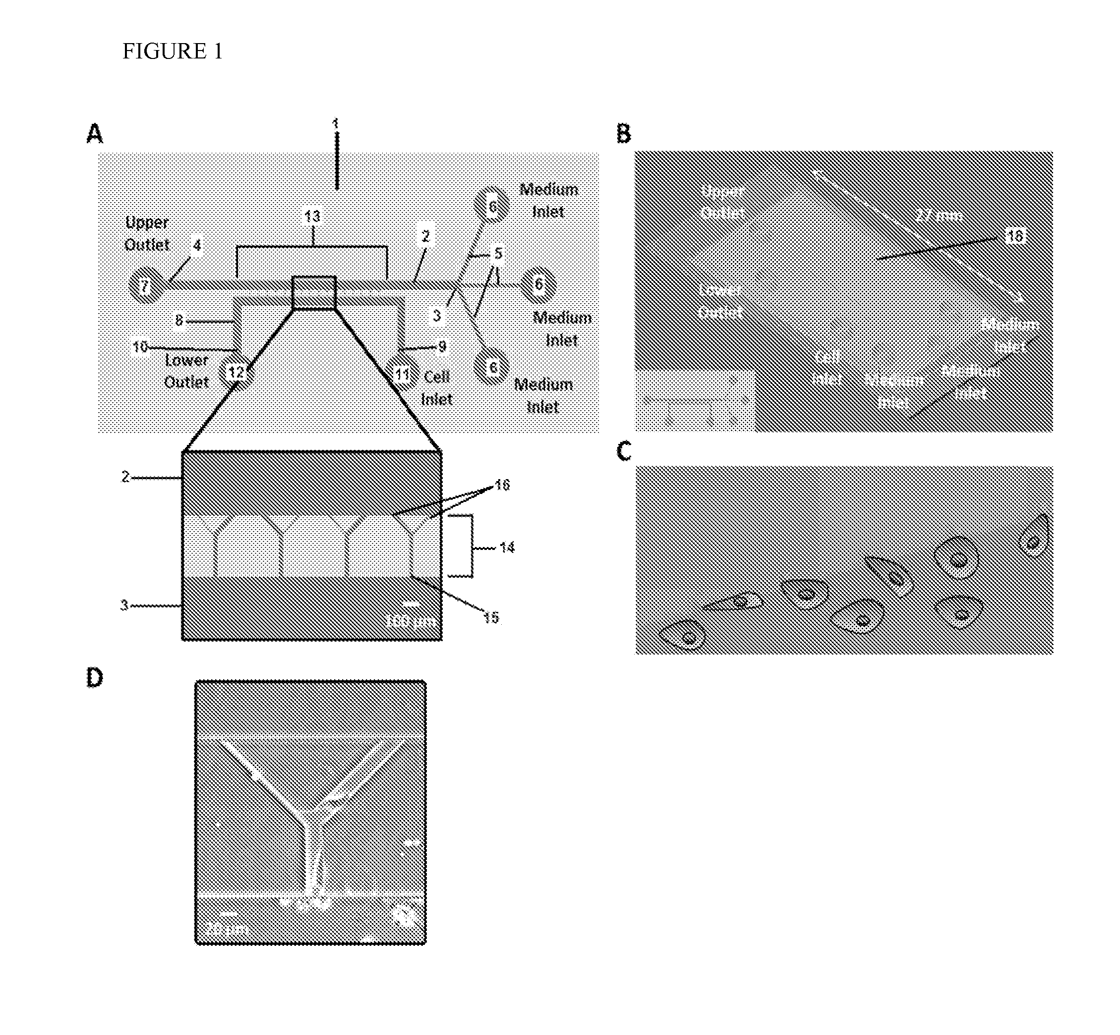 Microfluidic chip for analysis of cell motility and methods for using same