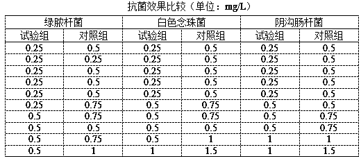 Externally-applied nano silver preparation and preparation method thereof