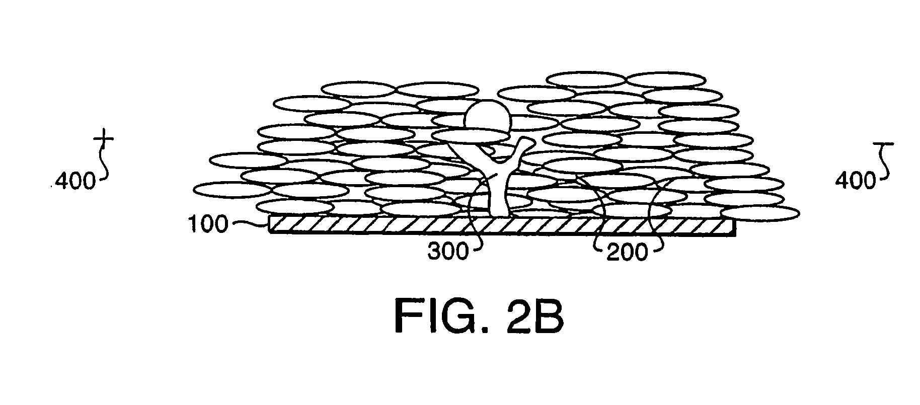 Substrates, devices, and methods for cellular assays