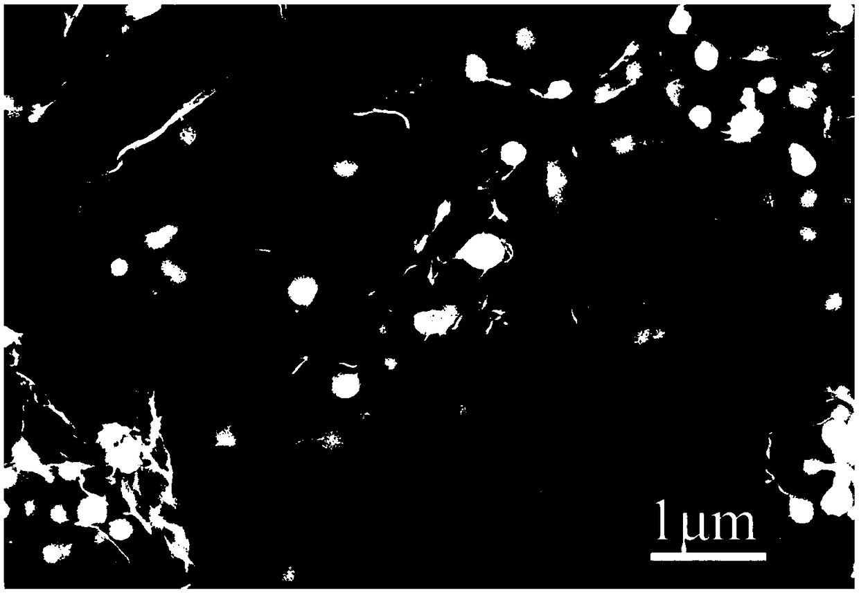 Preparation of Self-Supported Three-Dimensional Graphene/Tin Composite Anode Material for Lithium Ion Battery