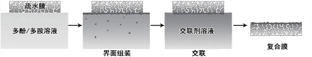 Thin-layer composite film based on gas-liquid interface reaction, and preparation method and applications thereof