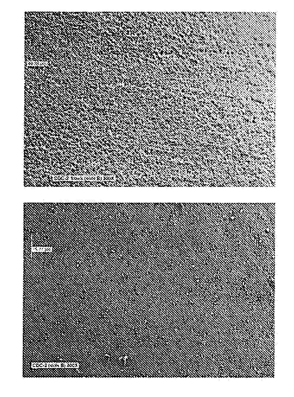 Blackened composite electroless nickel coatings